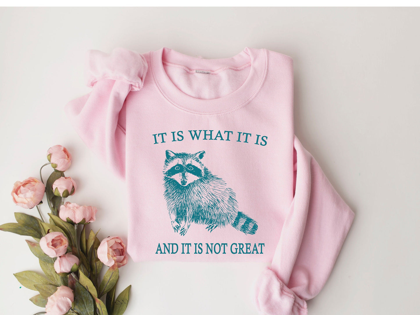 Raccoon Meme Sweatshirt