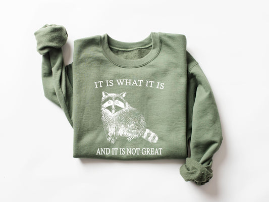 Raccoon Meme Sweatshirt