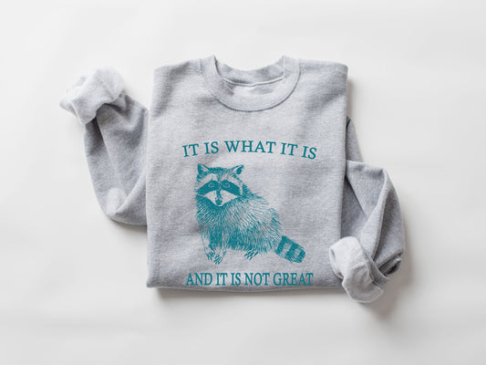 Raccoon Meme Sweatshirt